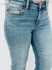 Judy Blue Low Rise Lifestyle Jeans (Reg. and Plus)
