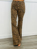 Judy Blue Wild Luxe Mid Rise Flare Jeans (Reg. and Plus)