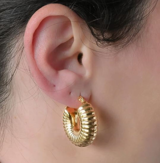 WP - Gold Shrimp Earrings