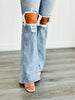 Risen Light Daringly Distressed Jeans (Reg & Plus)