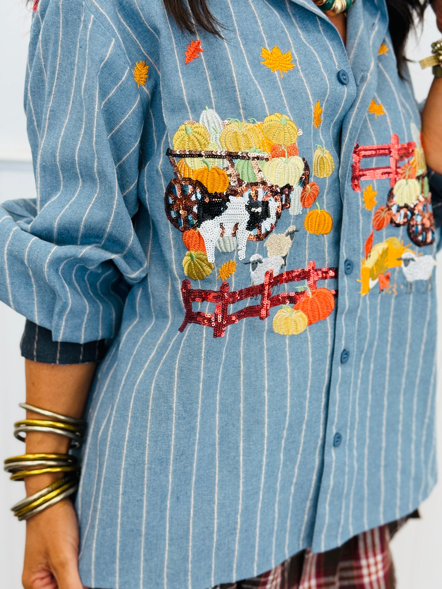 Queen Of Sparkles Denim Striped Pumpkin Farm Button Up Top (Reg. and Plus)