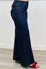 Risen Made To Shimmer Tummy Control Jeans (Reg & Plus)
