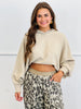 Oatmeal Cashmere Blend Sweater Hoodie Top (Reg.)