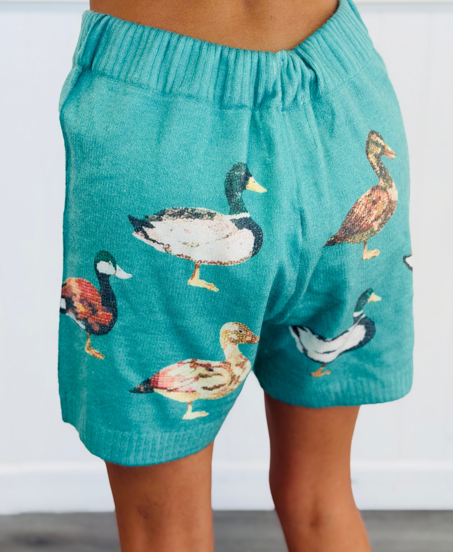 Sea Green Charming Duckling Sweater & Shorts Set (Reg.)