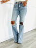 Risen Light Daringly Distressed Jeans (Reg & Plus)