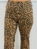 Judy Blue Wild Luxe Mid Rise Flare Jeans (Reg. and Plus)
