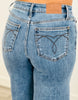 Judy Blue Raw Hem Revival Jeans (Reg. and Plus)