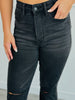 Judy Blue You Are Everything Tummy Control Jeans (Reg. and Plus)