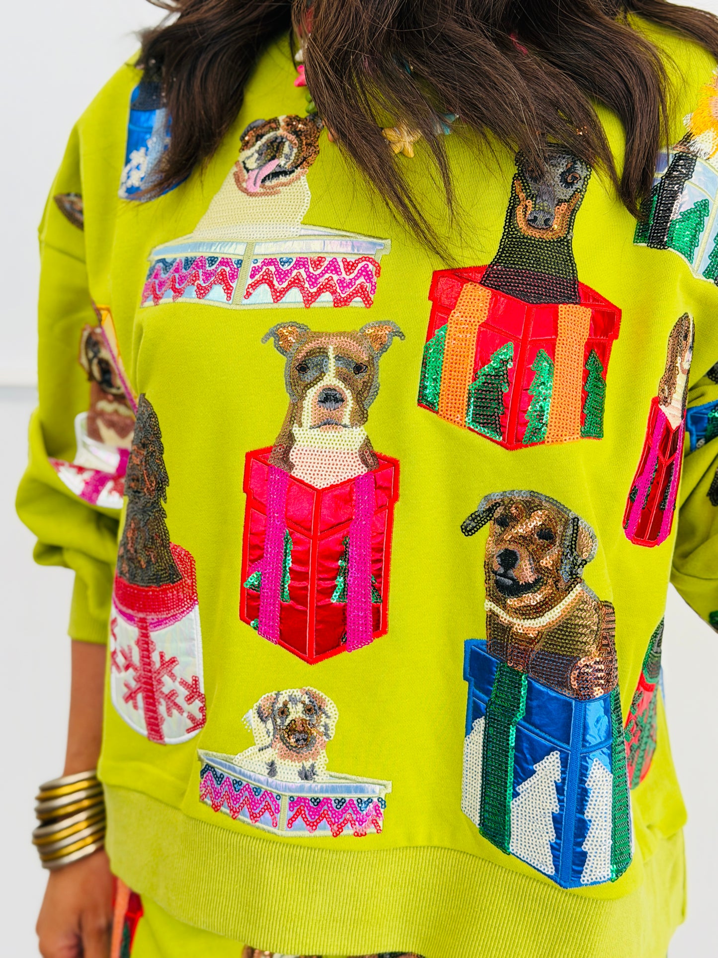 Queen Of Sparkles Green Dogs in Present Boxes Sweatshirt (Reg. & Plus)