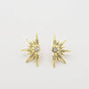 TJ - Half Stellar Earrings (2 Colors)