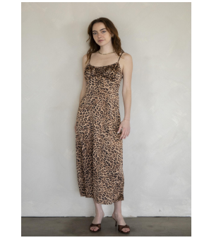 Leopard Print Maxi Dress