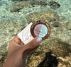 C & D Coastal Glow Double Eye Shadows