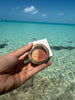 C & D Coastal Glow Double Eye Shadows