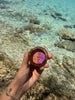 C & D Coastal Glow Double Eye Shadows