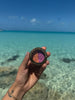 C & D Coastal Glow Double Eye Shadows